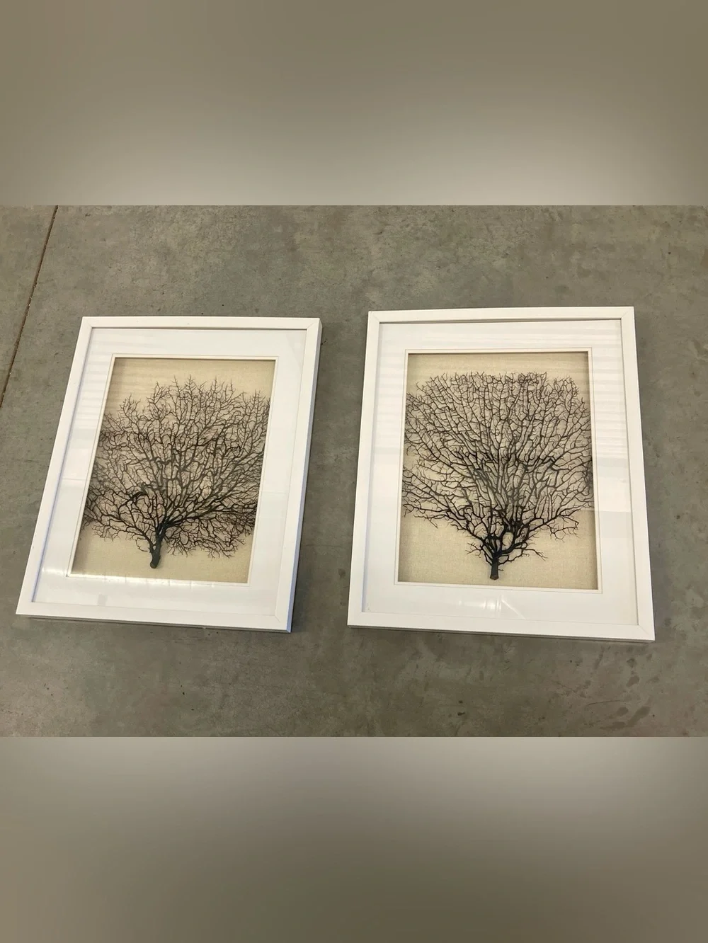 ✨ Faux Black Sea Fan Coral Framed Wall Art Set of 2 Coastal Boho Decor ✨